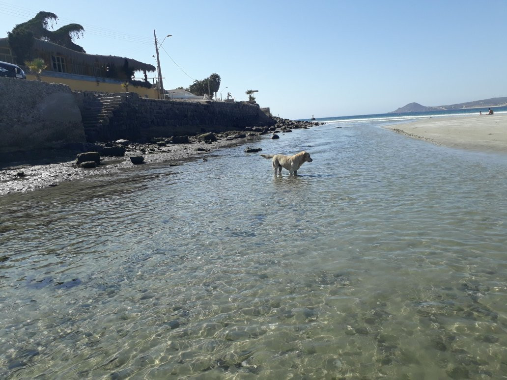 Playas Socos-Tongoy必去景点