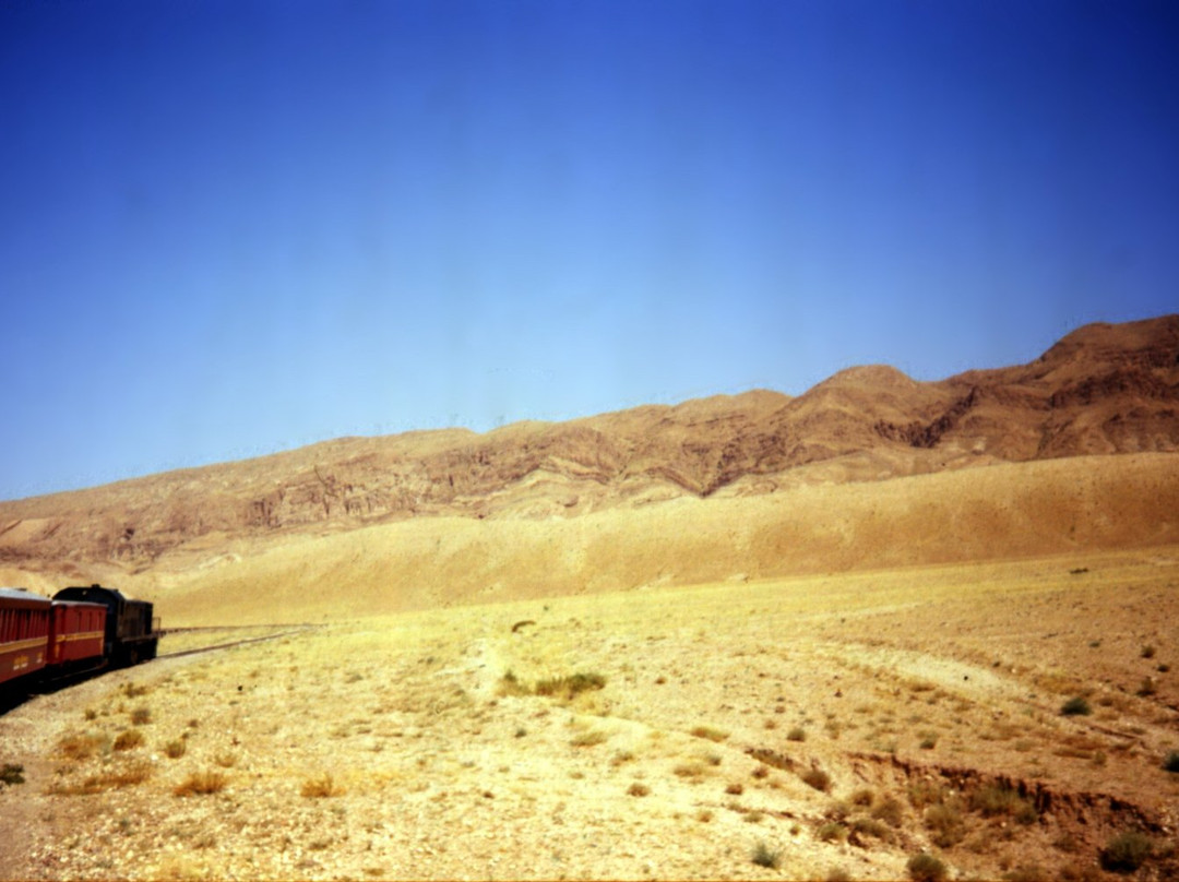 Red Lizard Train-Metlaoui必去景点