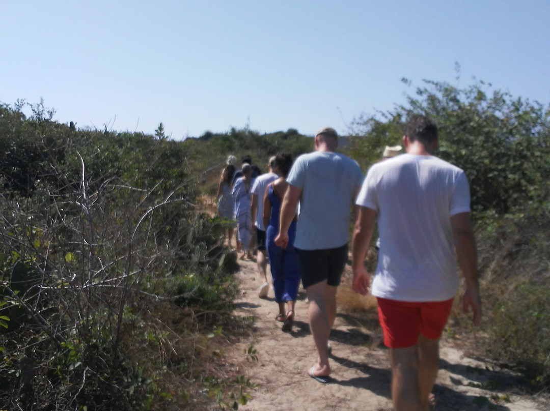 Fundacion Casa Wabi-埃斯孔迪多港必去景点