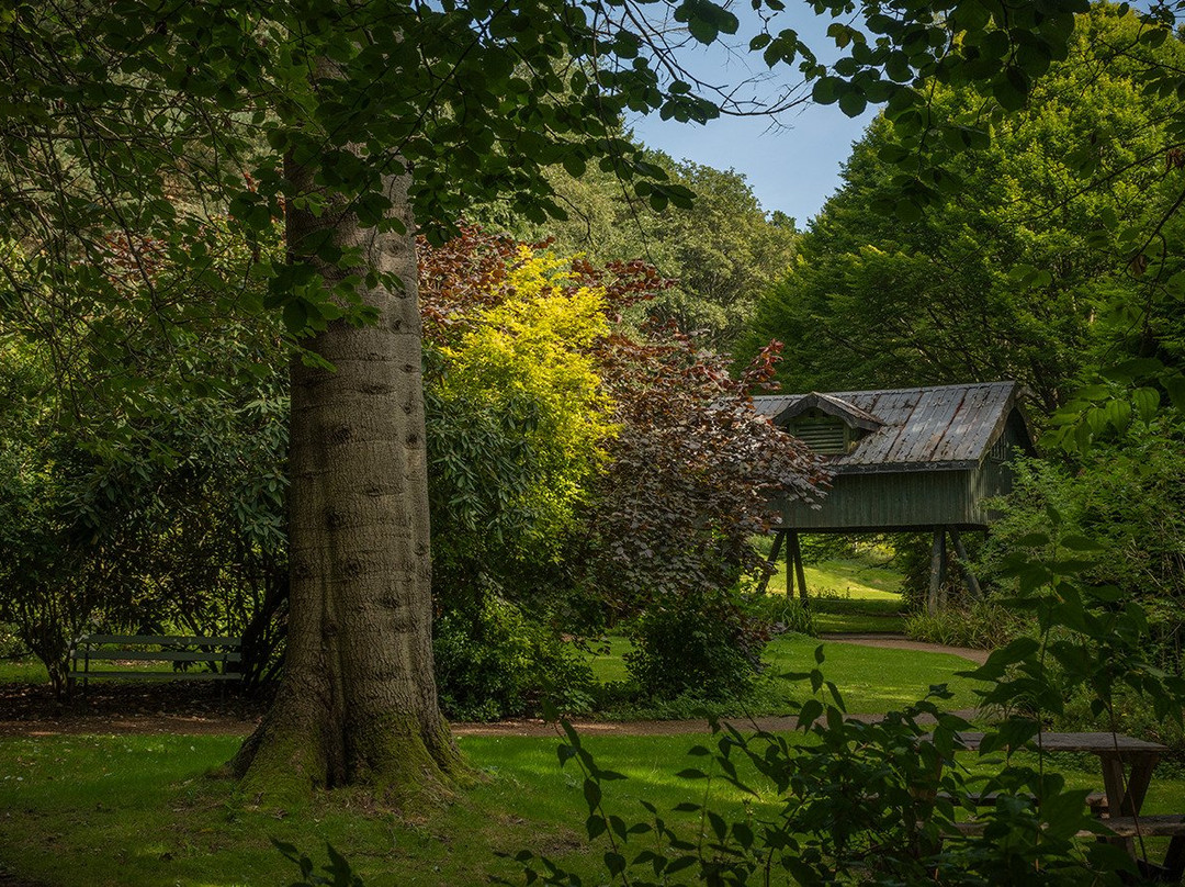 Levenmouth旅游攻略图片