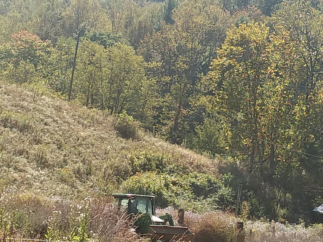 Bethel旅游攻略图片