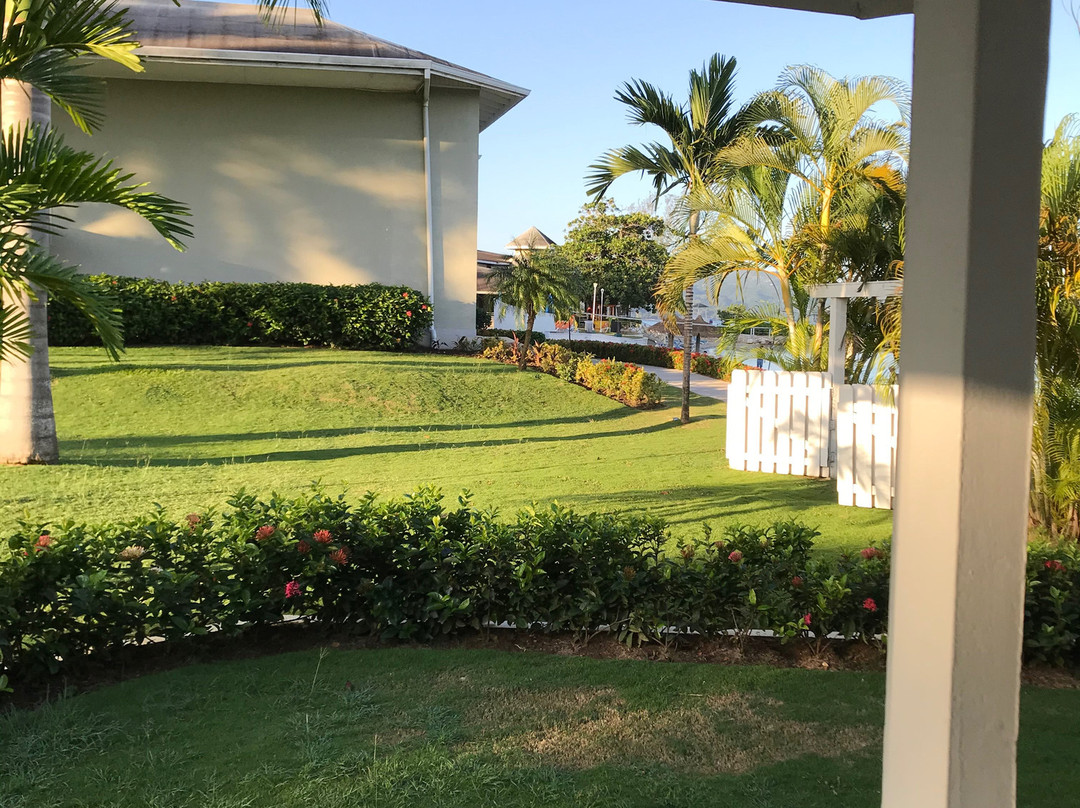 Oasis at Sunset Montego Bay主图