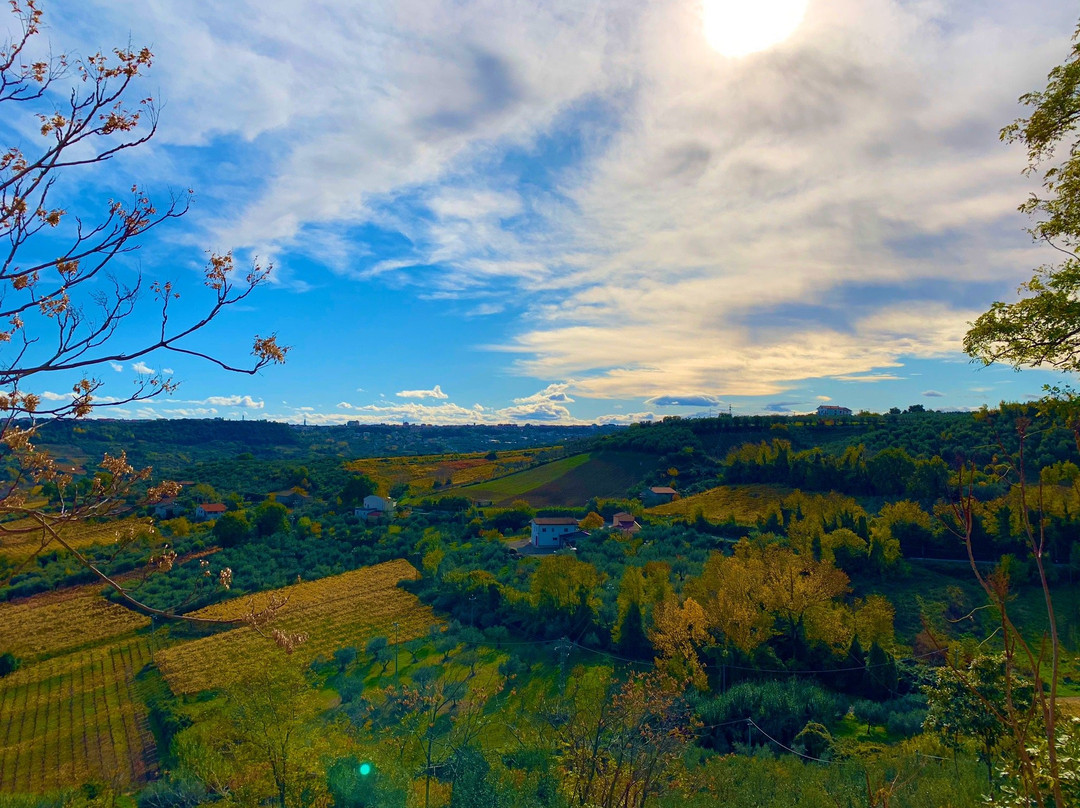 Frisa旅游攻略图片