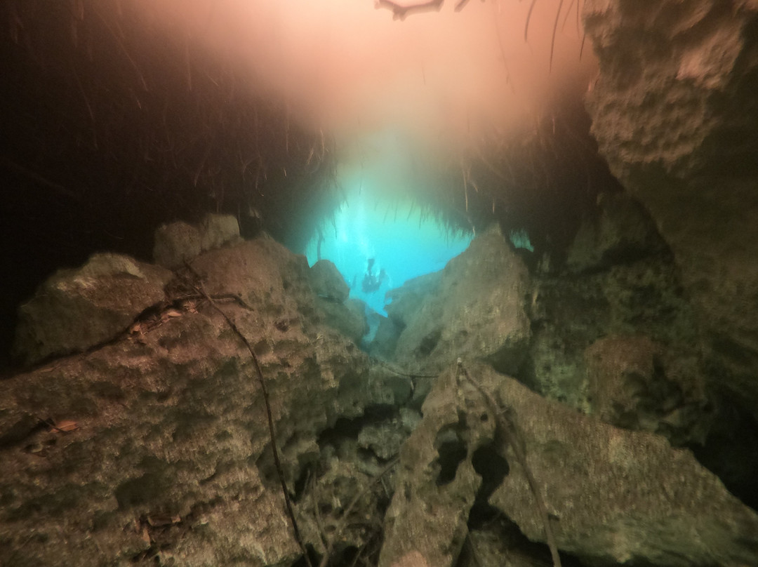 ProRec Dive Center-图伦必去景点