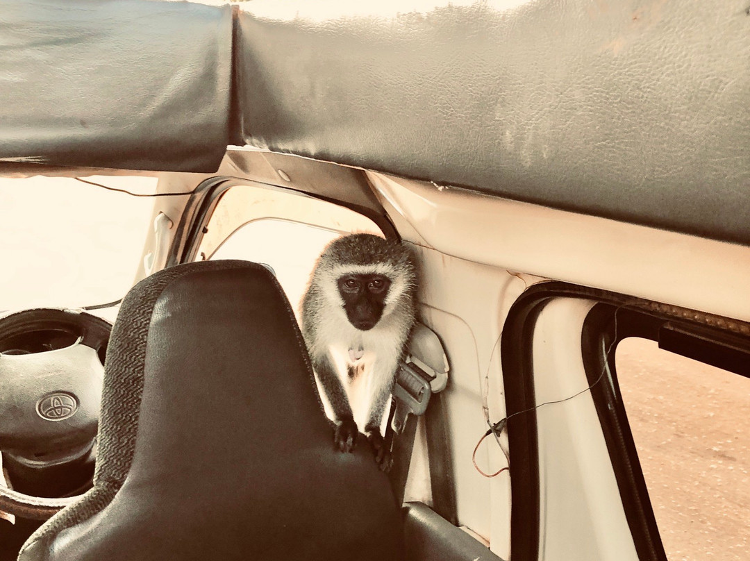 Paul Safaris-蒙巴萨必去景点