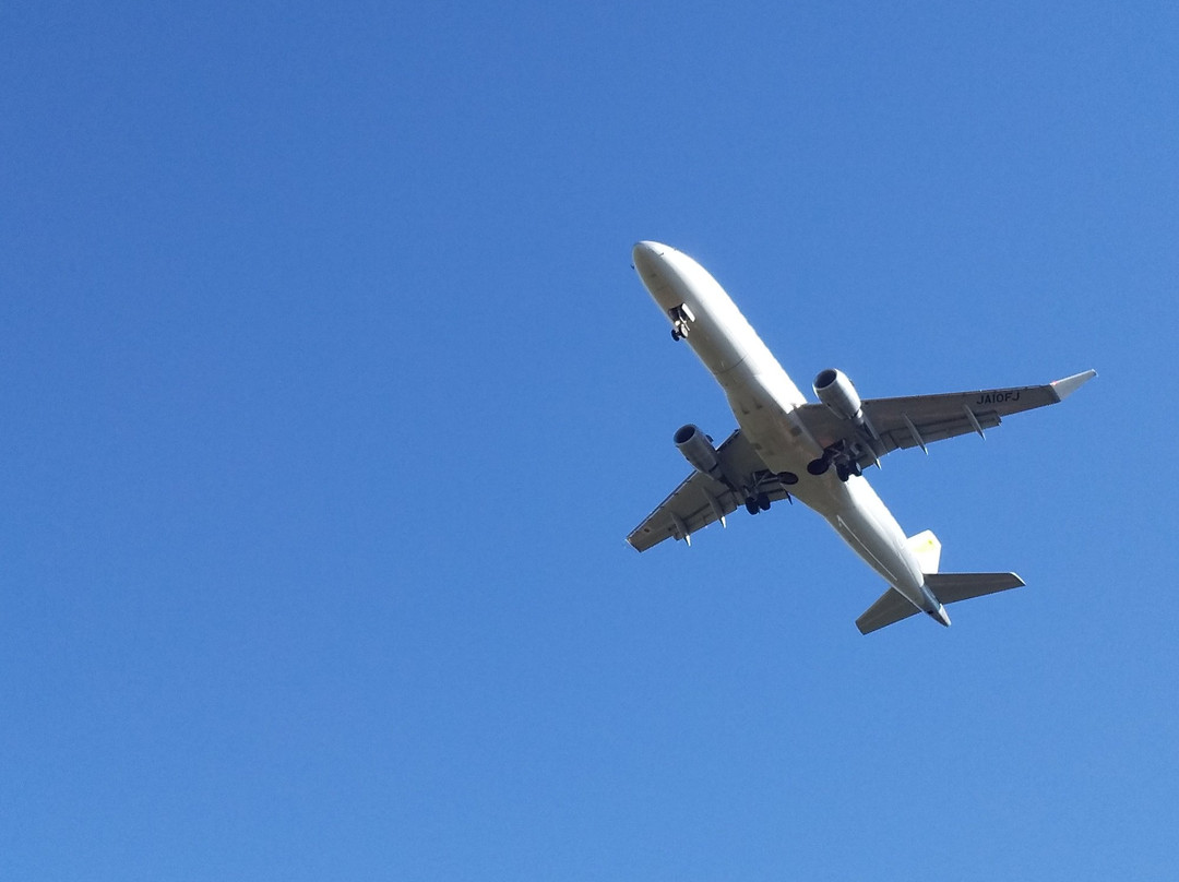 Daidarabotchi Plaza-牧之原市必去景点