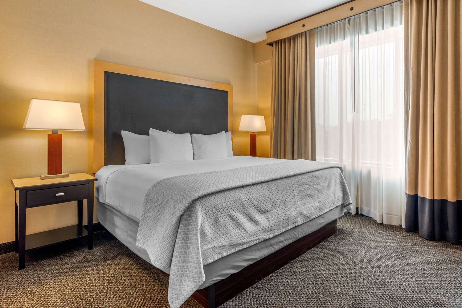 Cambria Hotel Akron - Canton Airport-官方