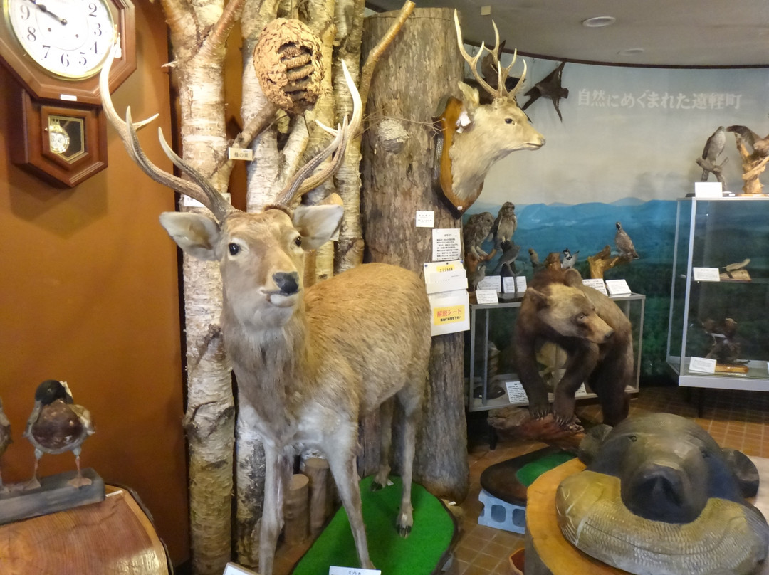 Engarucho Town Hall Local Museum-远轻町必去景点