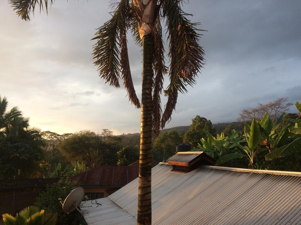 Kilimanjaro Friendship Trail-莫西必去景点