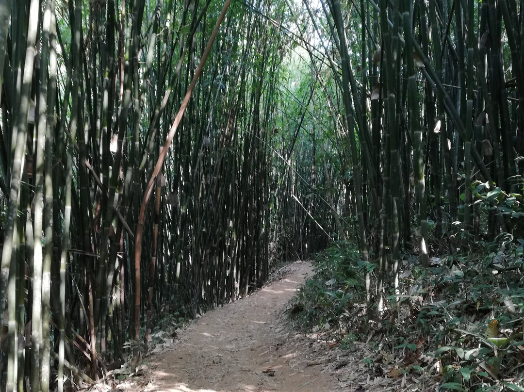 Doi Luang National Park-攀县必去景点