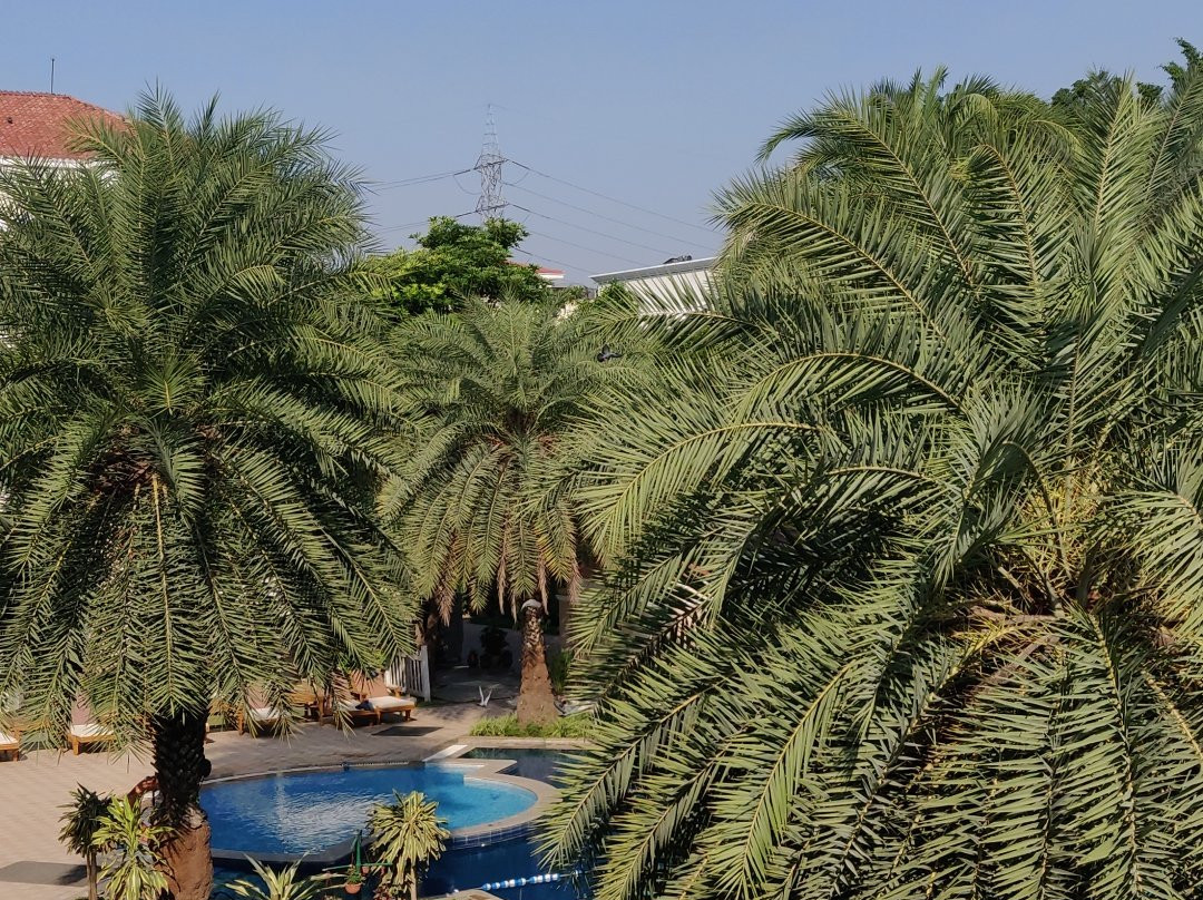 印度棕榈乡村俱乐部度假酒店主图