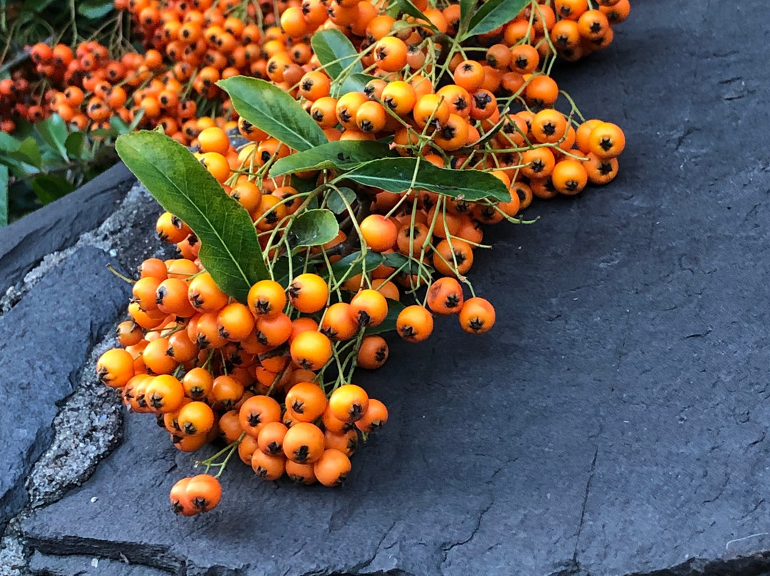 Highfield House B&B主图