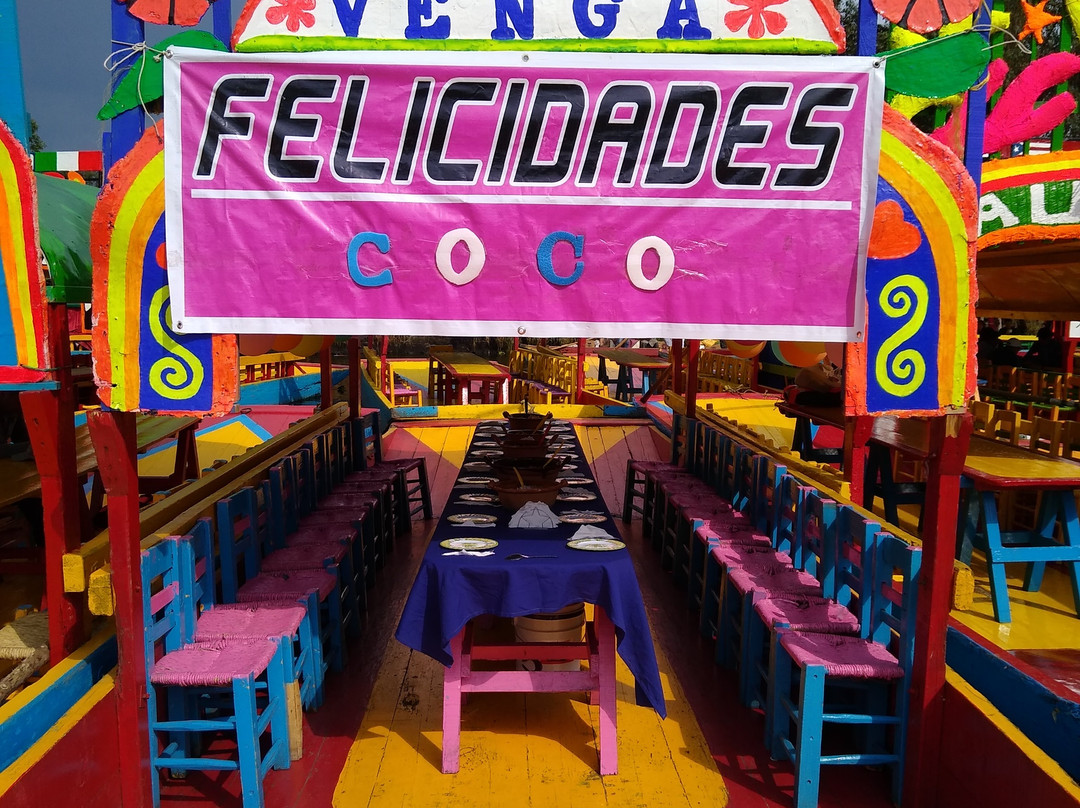 Floating Gardens of Xochimilco-墨西哥城必去景点