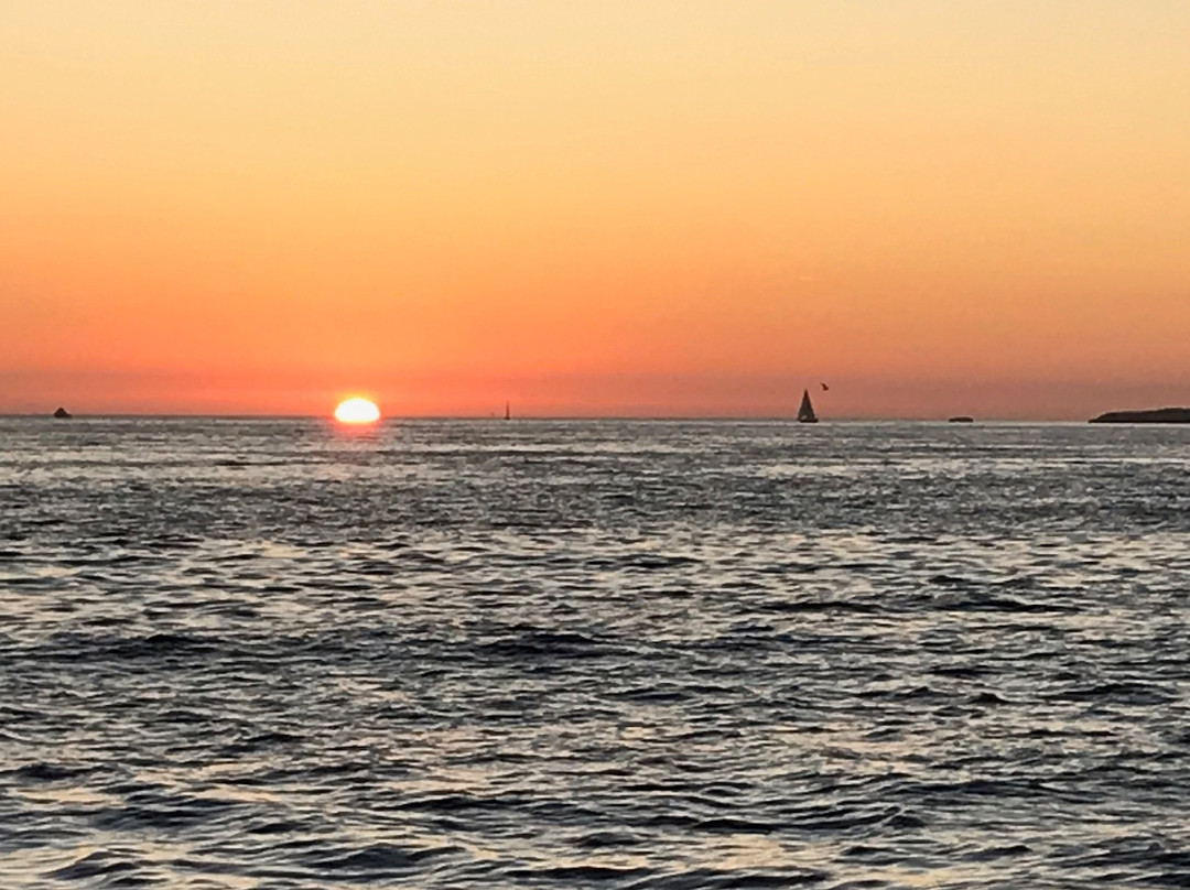 Sea Spirit Ocean Safari (formerly)-圣克鲁斯必去景点