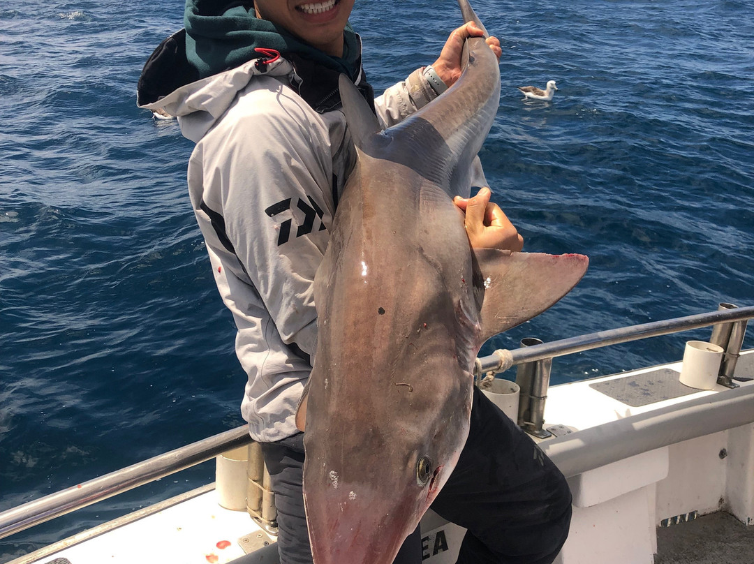 Reef Encounters Fishing Charters景点图片