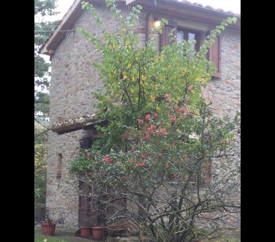 Agriturismo La Chiusa主图