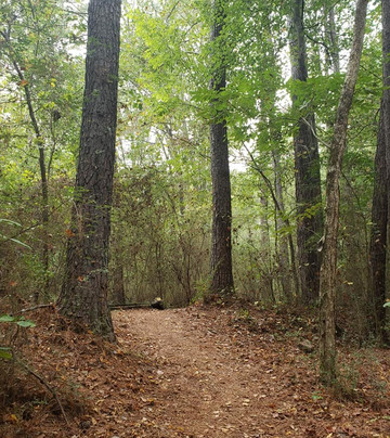 Doll's Head Trail-亚特兰大必去景点