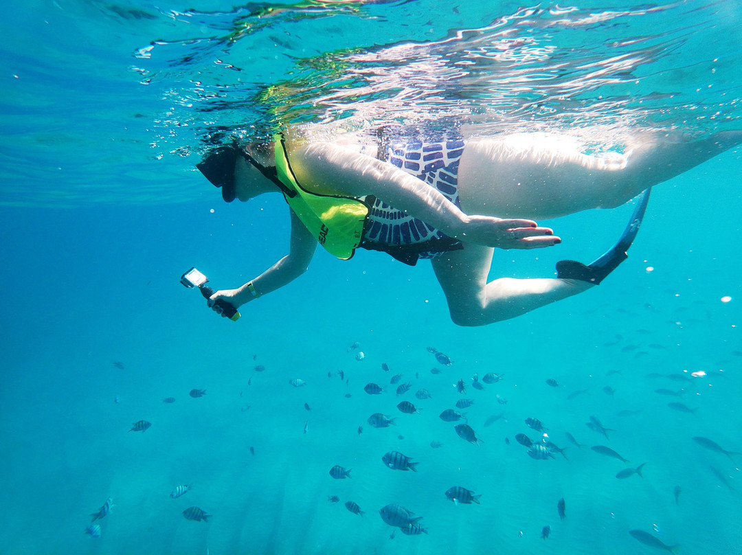 Eric Tours International-苏莎亚必去景点