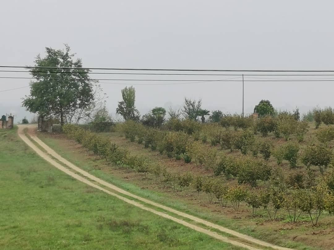 Cascina Barosca Azienda Agricola主图