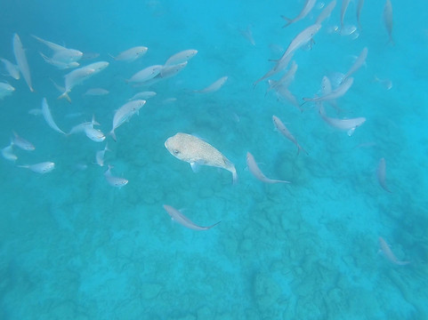 Island Routes-布里奇顿必去景点