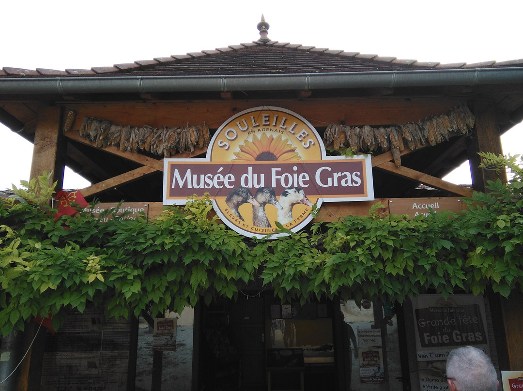 Musée du Foie Gras景点图片