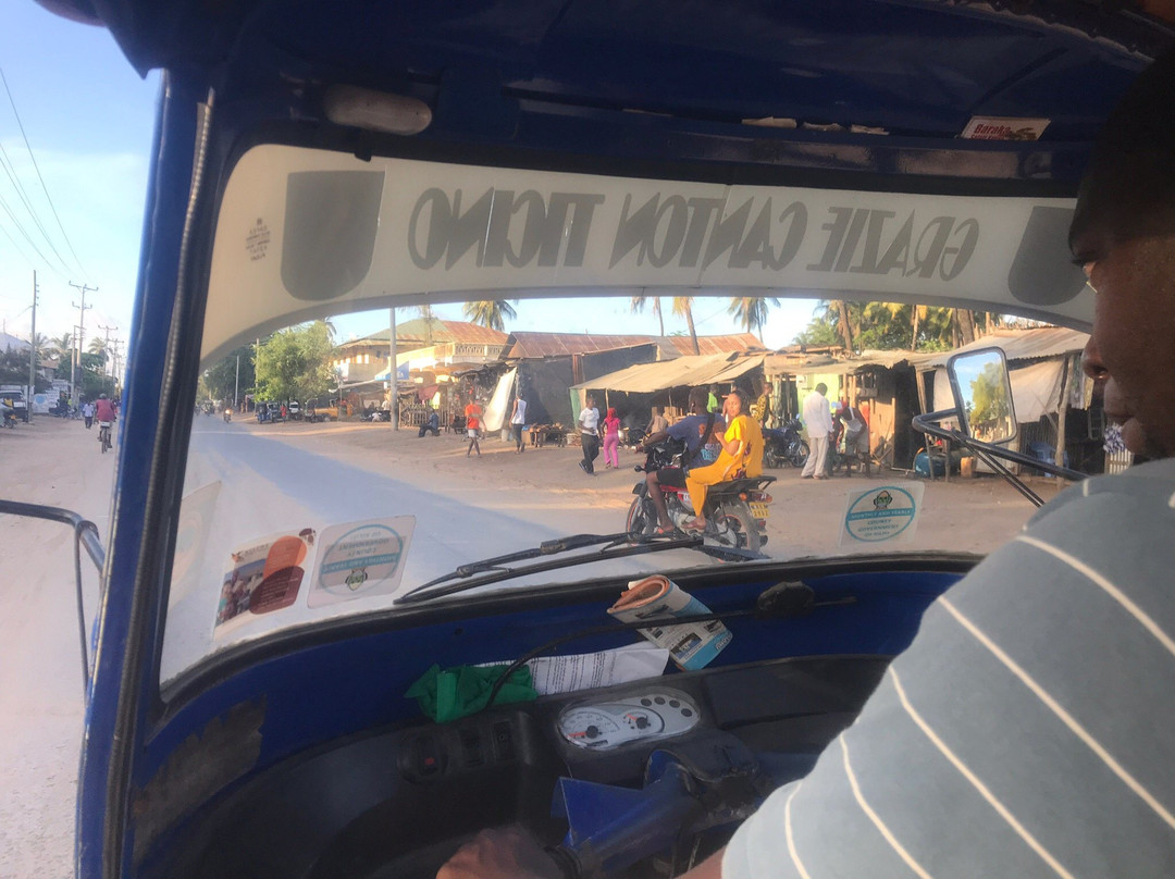 Pearl of Afrika主图