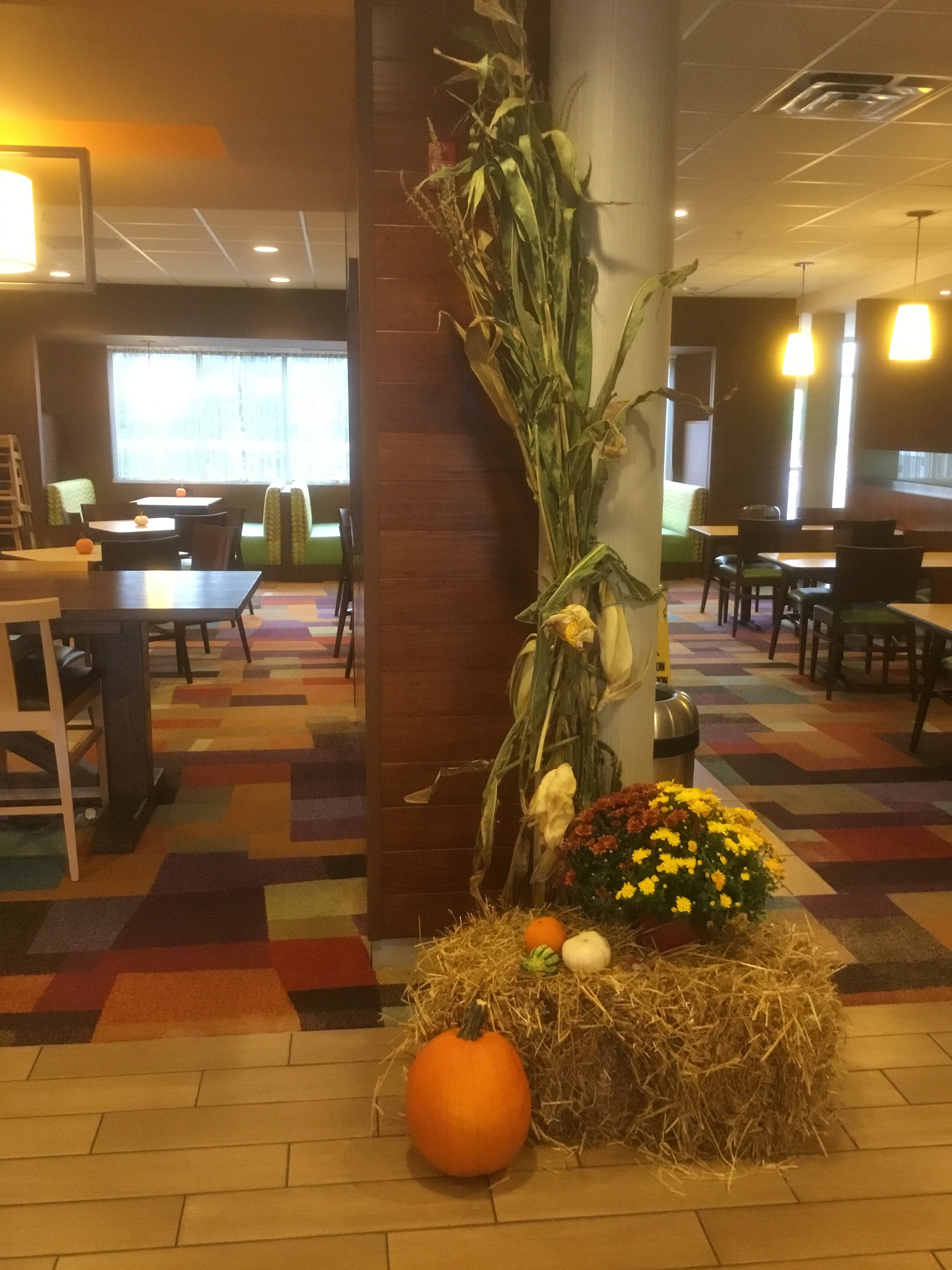 Fairfield Inn & Suites Hershey Chocolate Avenue-portrait