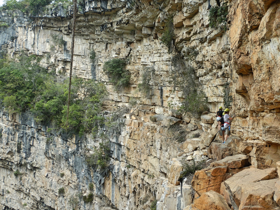 Jungla Experience-Villahermosa必去景点