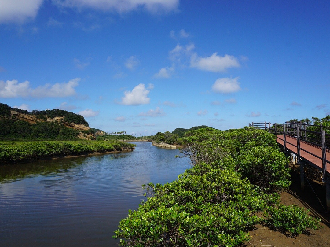 Tanegashima Mangrove Park景点图片