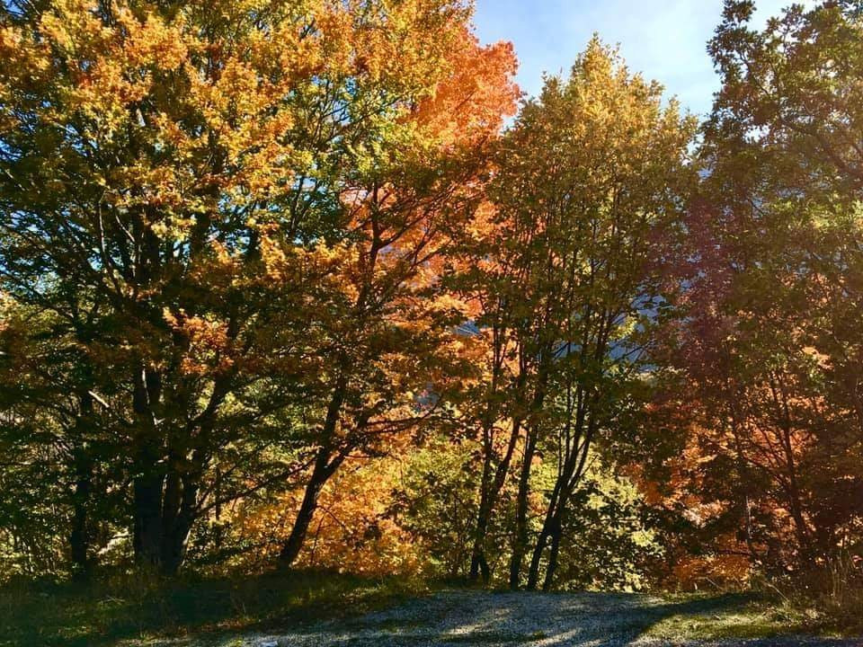 Parco Regionale Sirente Velino-Rocca di Mezzo必去景点