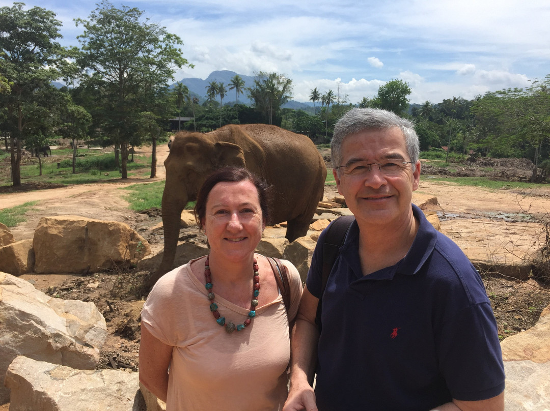 Sri Lanka Vacation Tours景点图片