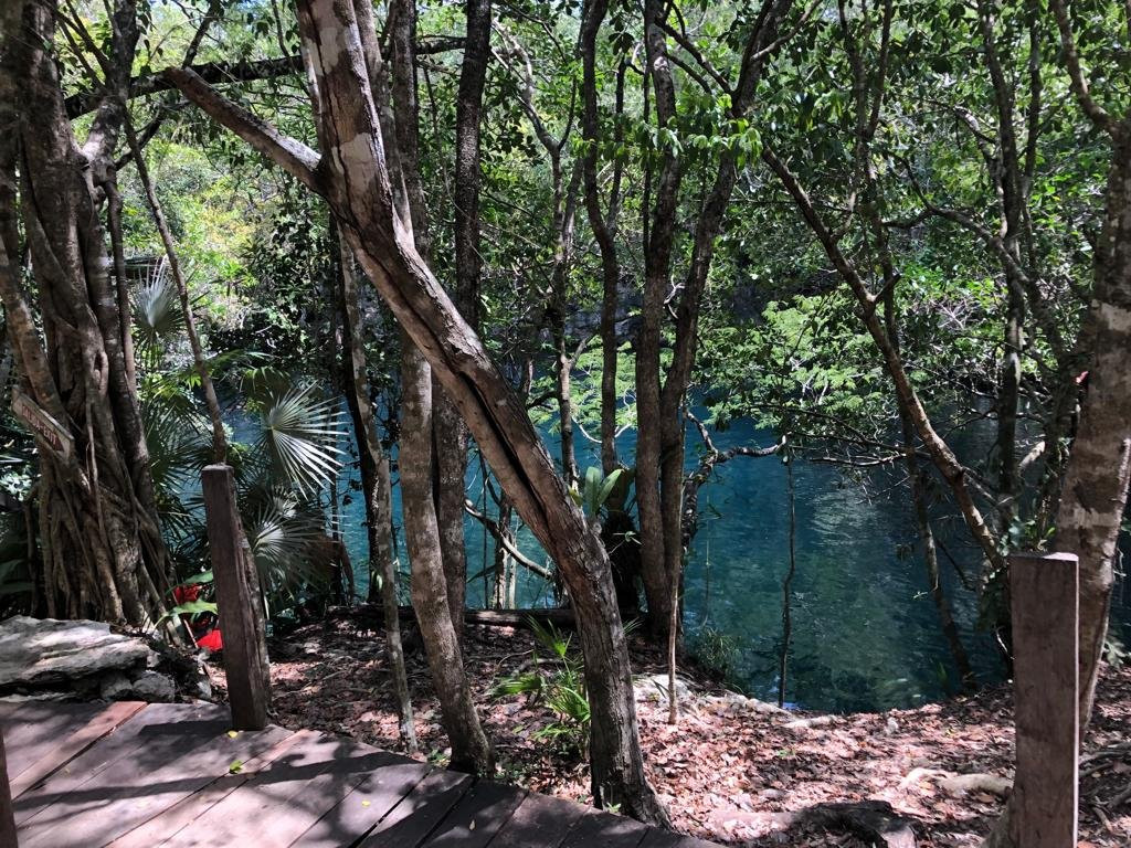 Diving Cenotes Tulum景点图片