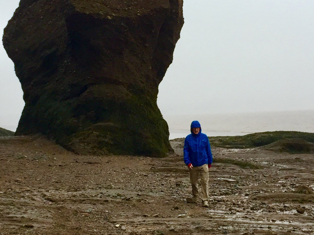 Hopewell Rocks-霍伯威尔角必去景点