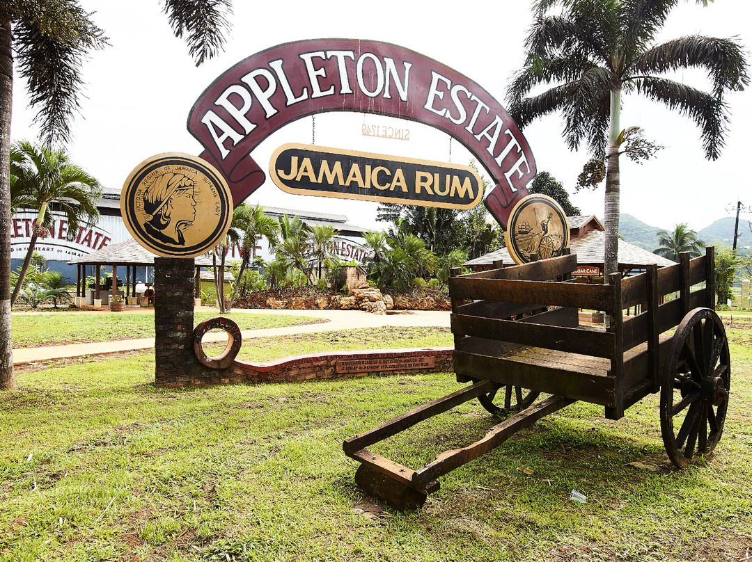 The Joy Spence Appleton Estate Rum Experience