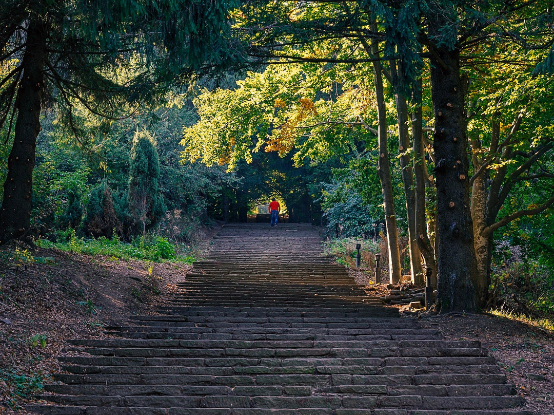 Hillview Bulgaria-大特尔诺沃必去景点