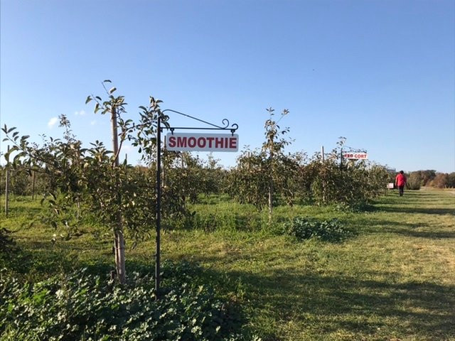 St. George旅游景点-Orchard Home Farm