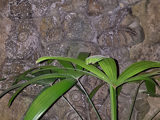 巴厘岛马瓦旅馆主图