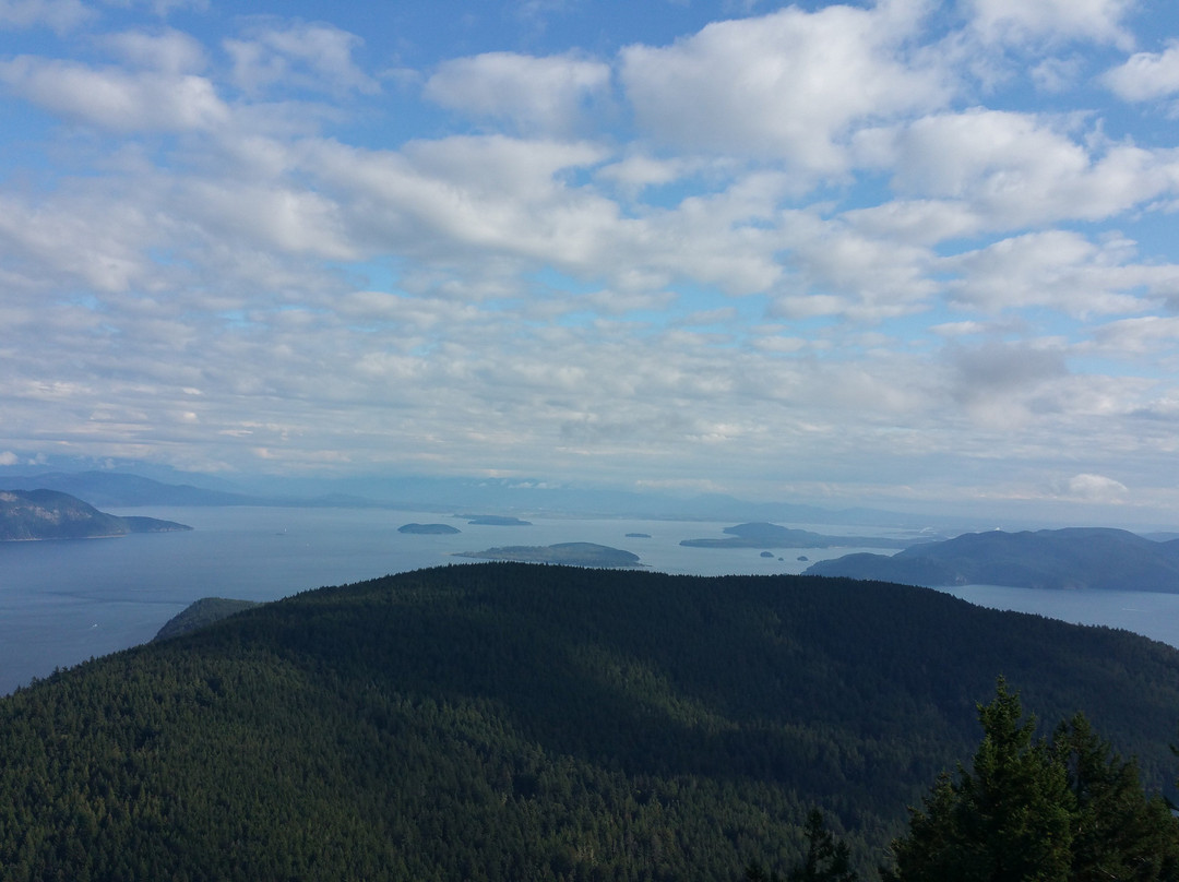 Matia Island State Park景点图片