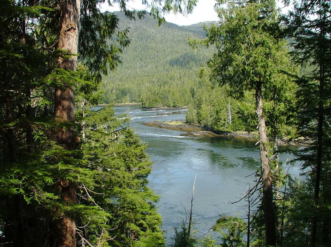 Butze Rapids Park and Trail景点图片