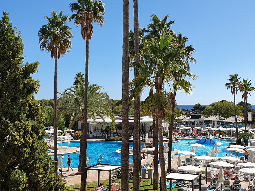 Protur Vista Badia Aparthotel主图