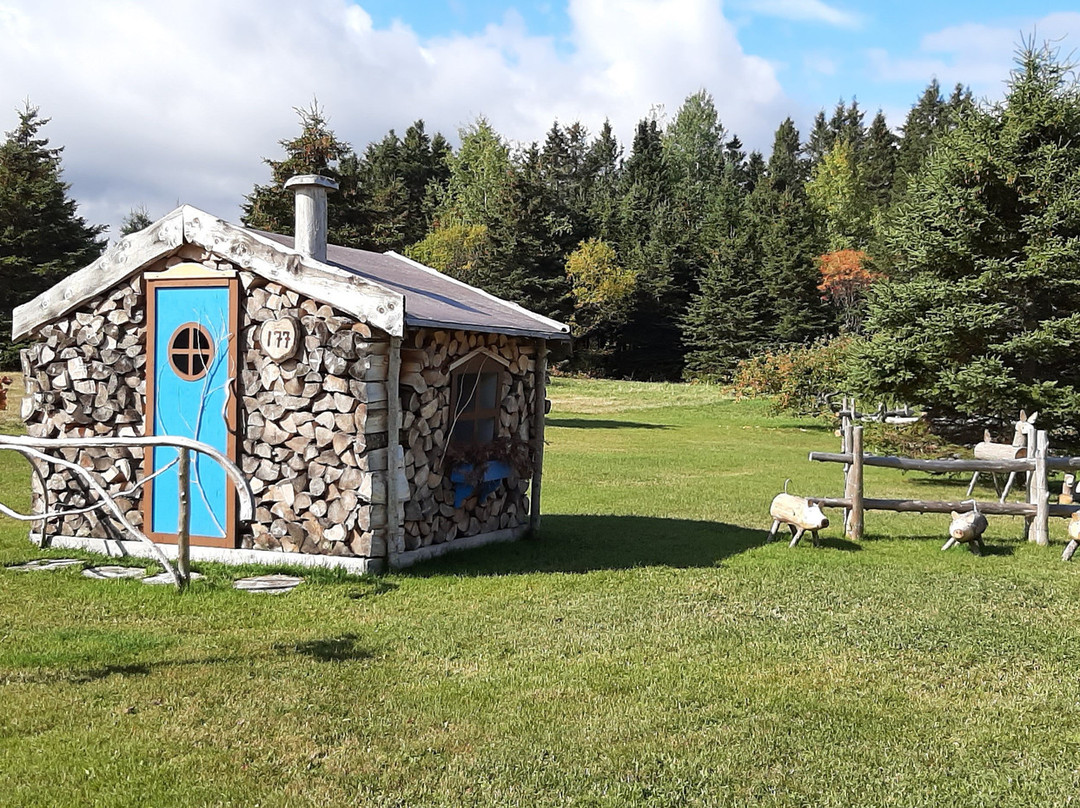 Festival Des Cordes De Bois