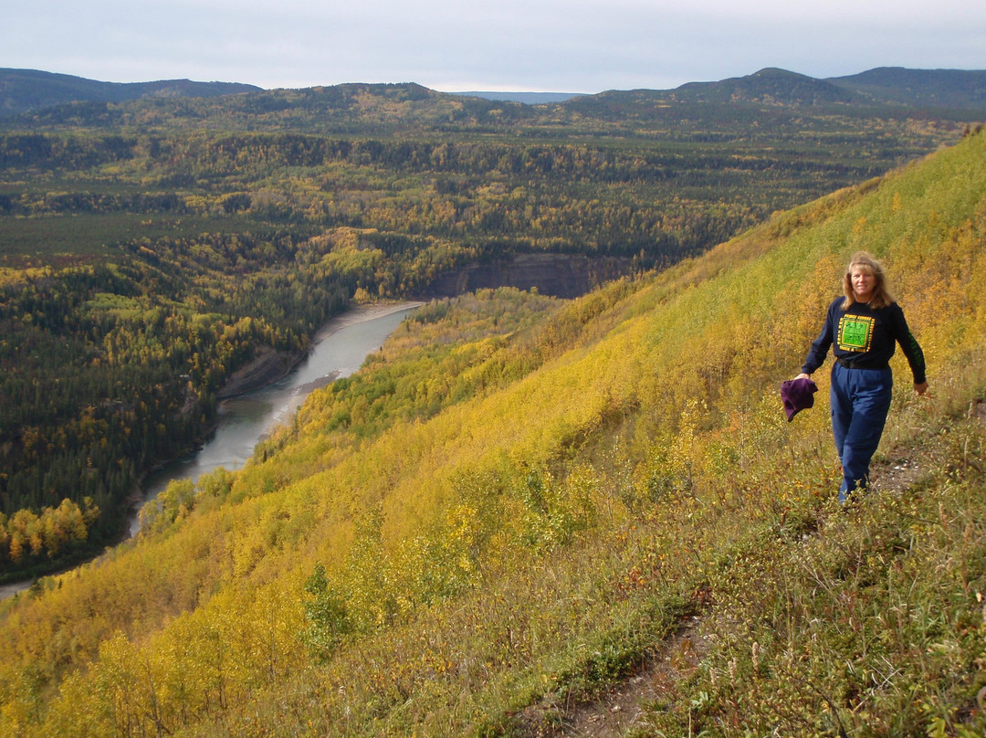 Murray Canyon Overlook Trail