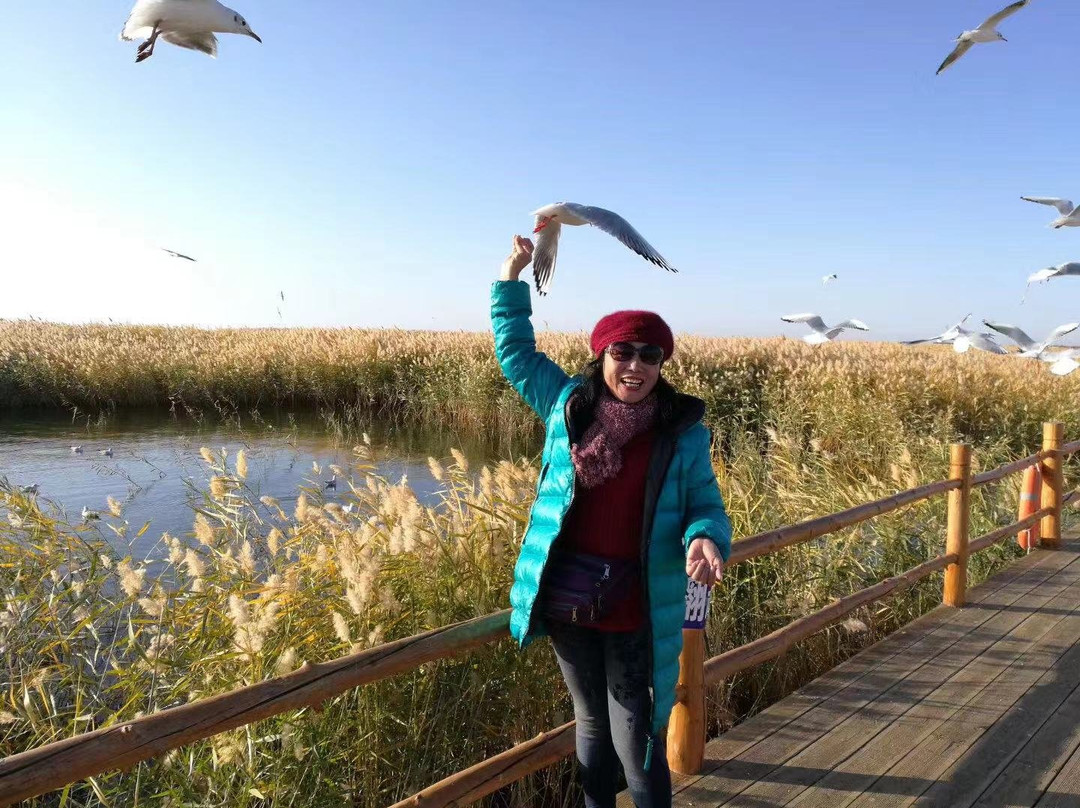 居延海-额济纳旗必去景点