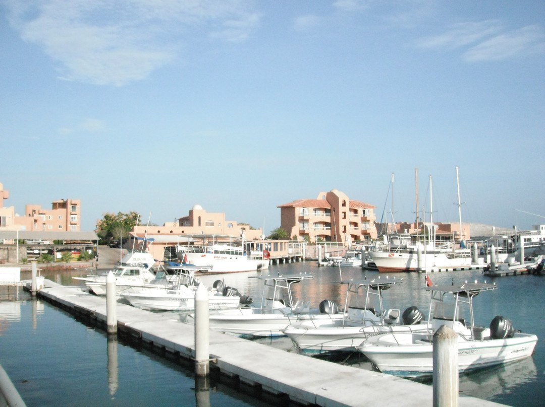 Baja Pirates Fishing Fleet