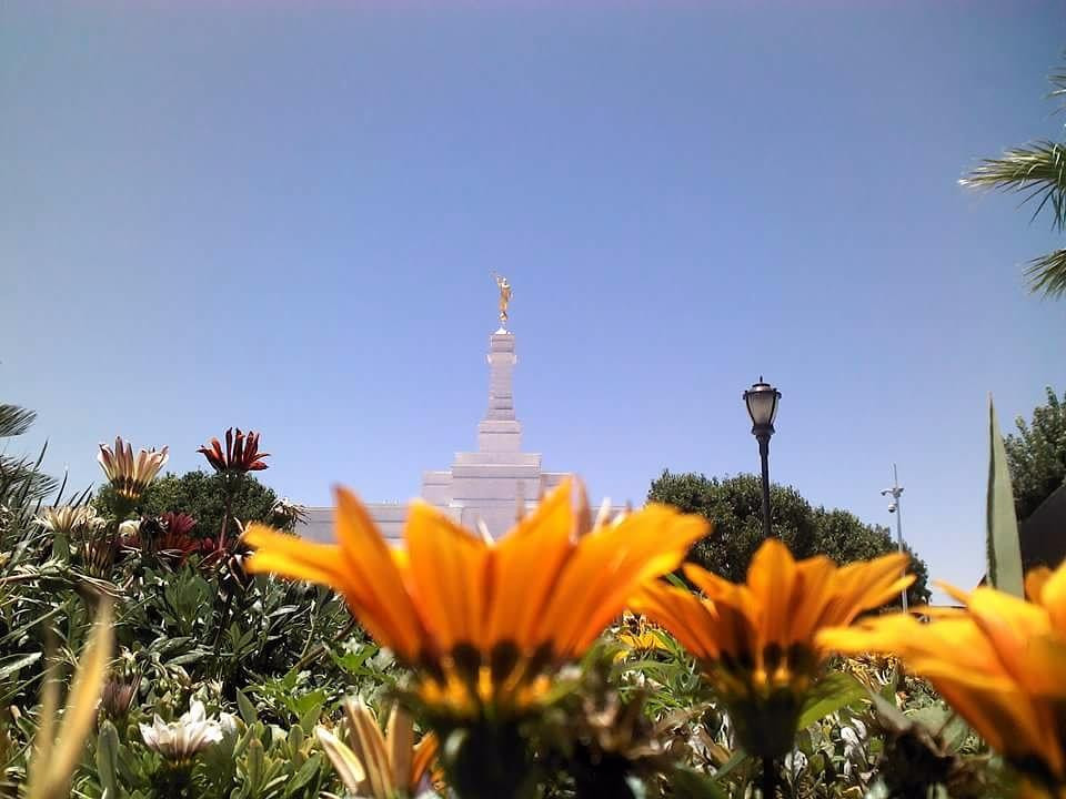 Ciudad Juárez México Temple