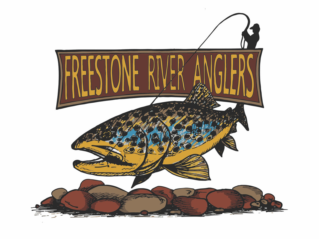 Freestone River Anglers景点图片