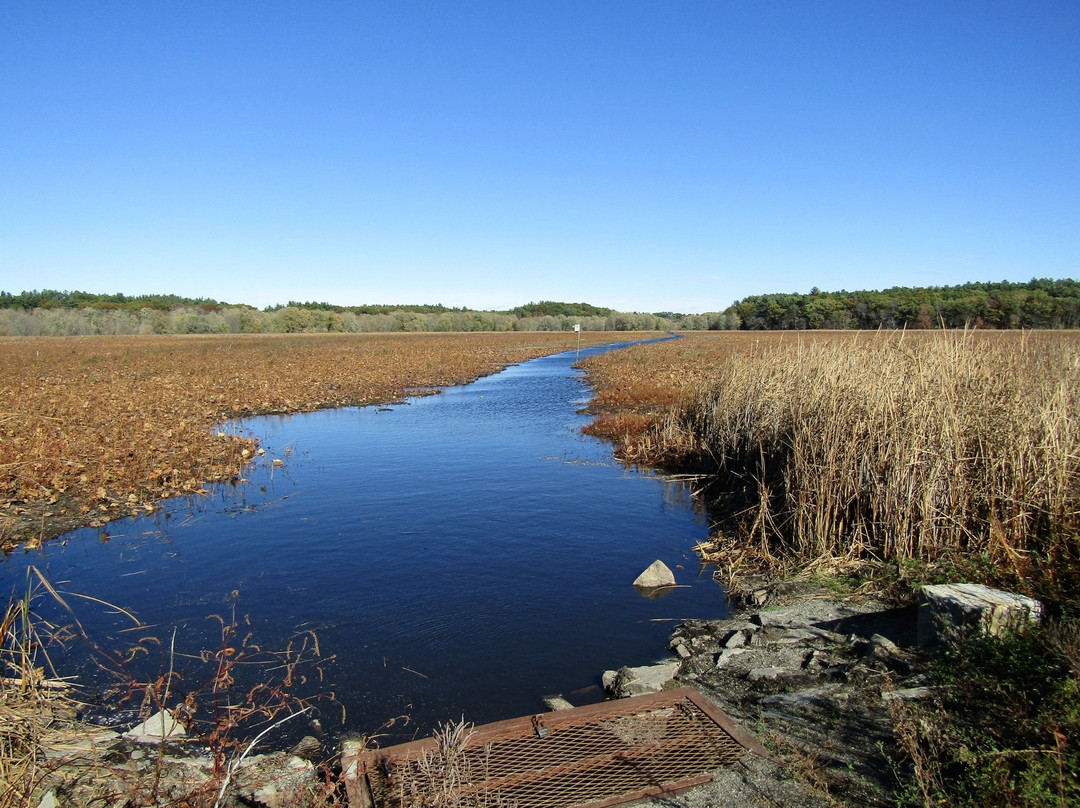 Great Meadows National Wildlife Refuge景点图片