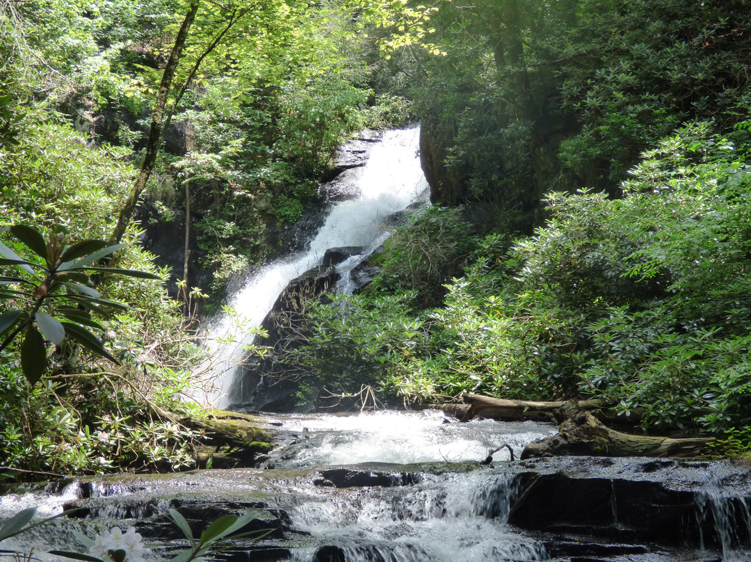 Little Rock Creek Falls景点图片