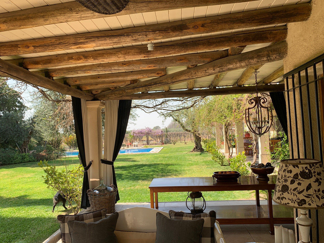 Conalbi Grinberg Casa Vinicola主图