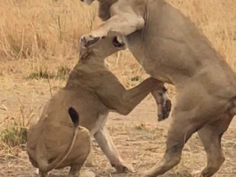 Time + Tide Luwi主图